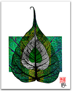 Bodhi Leaf