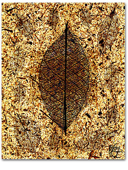Brown Leaf