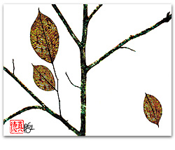 Fall