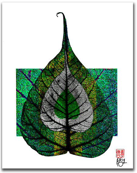 Bodhi Leaf