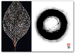 Zen Leaf, Zen Circle